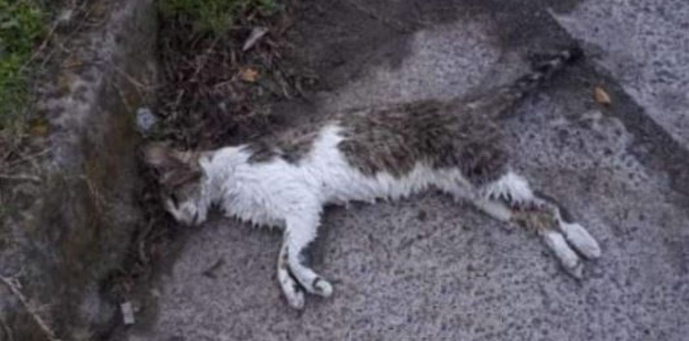 1599662357542.jpg?x=1&y=41&width=523&height=262&rotate=0&scaleX=1&scaleY=1&ow=525&oh=323&&cw=1920&ch=950