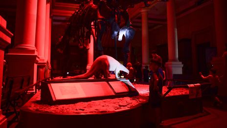 Vuelven los Museos a la luz de la Luna con actividades científicas y artísticas para todas las edades Vuelven los Museos a la luz de la Luna con actividades científicas y artísticas para todas las edades