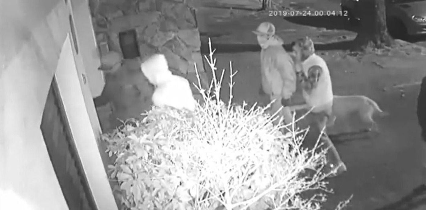 1564612809842.jpg?scaleX=1&scaleY=1&x=5&width=1067&height=534&rotate=0&y=8&ow=1078&oh=591&&cw=1920&ch=950