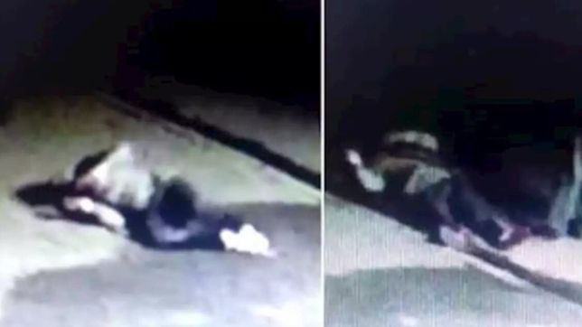 la autopsia complico al jubiliado de quilmes que mato a un ladron
