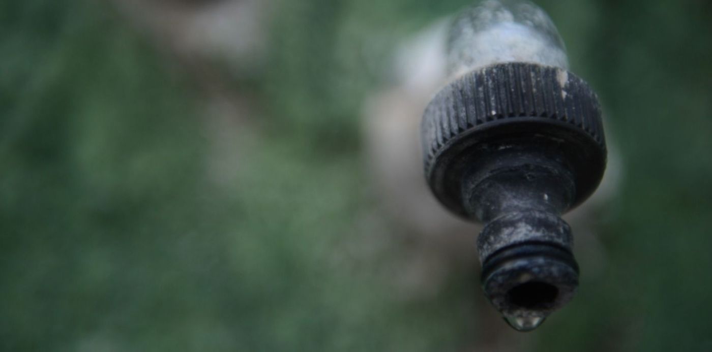 1580776083484.jpg?x=17&y=198&width=1459&height=729&rotate=0&scaleX=1&scaleY=1&ow=1500&oh=996&&cw=1920&ch=950