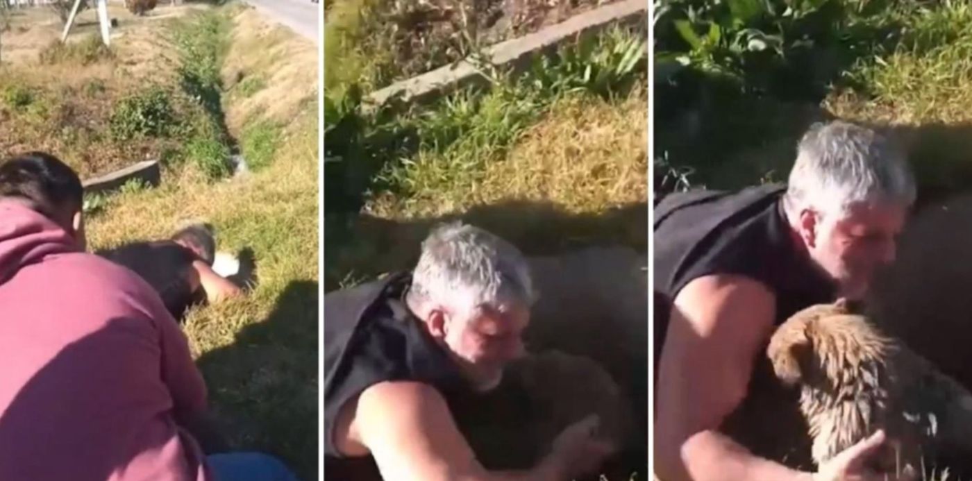 1658399641047.jpg?x=8&y=0&width=1484&height=742&rotate=0&scaleX=1&scaleY=1&ow=1500&oh=742&&cw=1920&ch=950