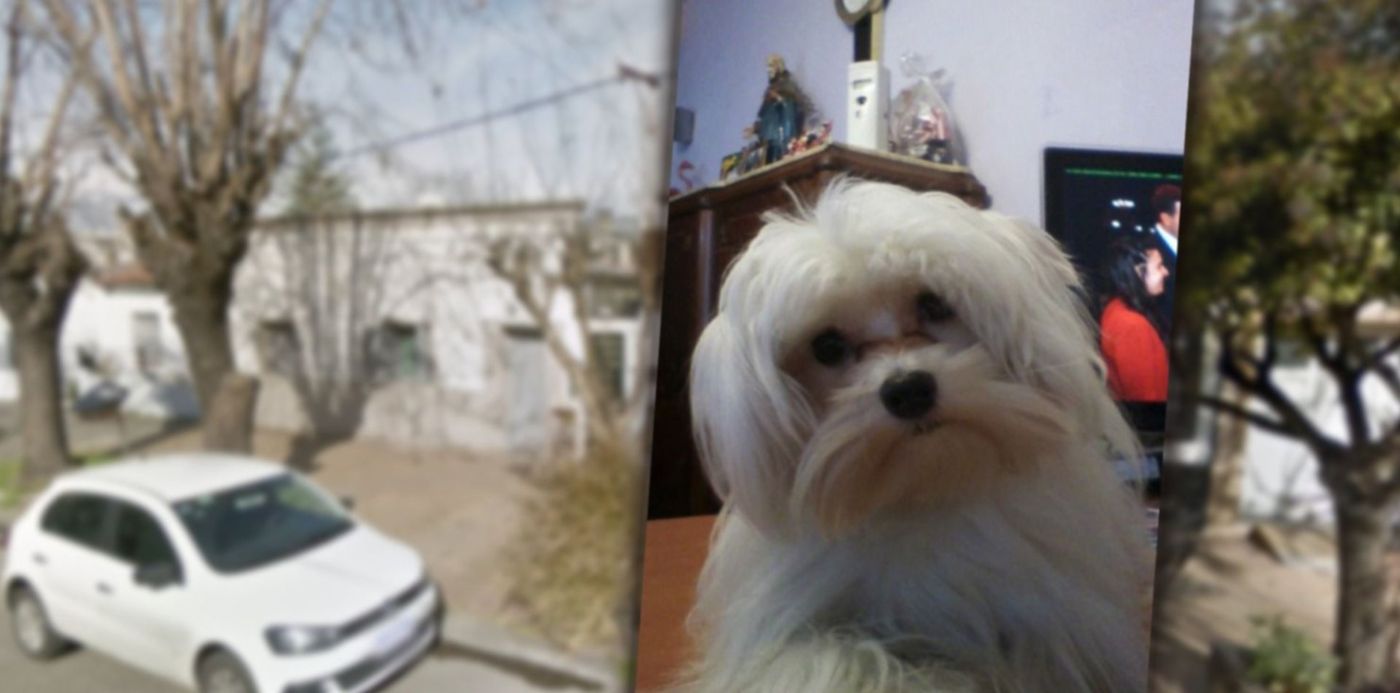 1683294820147.jpg?x=8&y=0&width=1484&height=742&rotate=0&scaleX=1&scaleY=1&ow=1500&oh=742&&cw=1920&ch=950