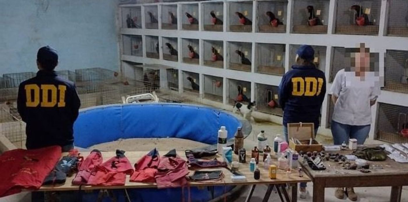 1663776535598.jpg?x=1&y=22&width=631&height=315&rotate=0&scaleX=1&scaleY=1&ow=633&oh=348&&cw=1920&ch=950