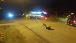 un micro y una camioneta chocaron en la plata y terminaron adentro de una zanja un micro y una camioneta chocaron en la plata y terminaron adentro de una zanja