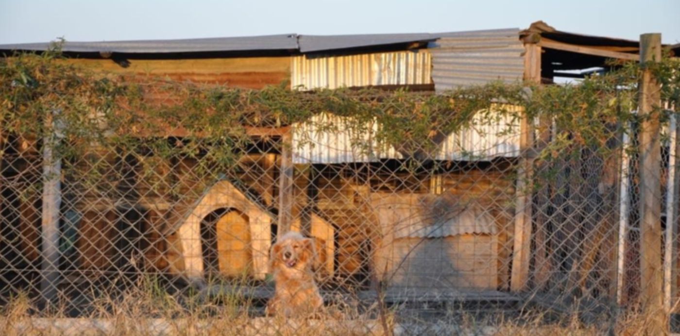 1573853721551.jpeg?height=533&scaleX=1&scaleY=1&ow=1072&oh=712&x=3&y=28&width=1066&rotate=0&&cw=1920&ch=950