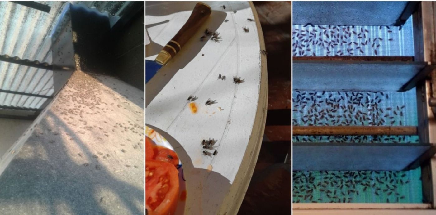 1561767951174.jpg?x=10&width=1484&rotate=0&oh=742&y=0&height=742&scaleX=1&scaleY=1&ow=1500&&cw=1920&ch=950