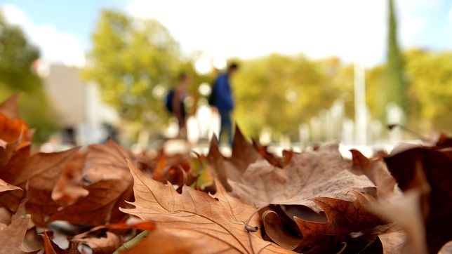 el smn anticipa un otono con un condimento particular para toda la provincia