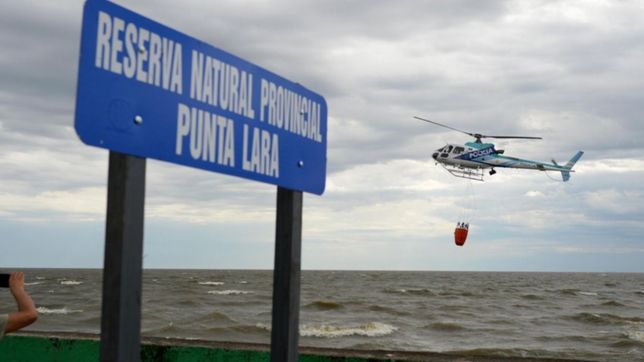 en fotos, asi se vive el incendio en la reserva natural de punta lara