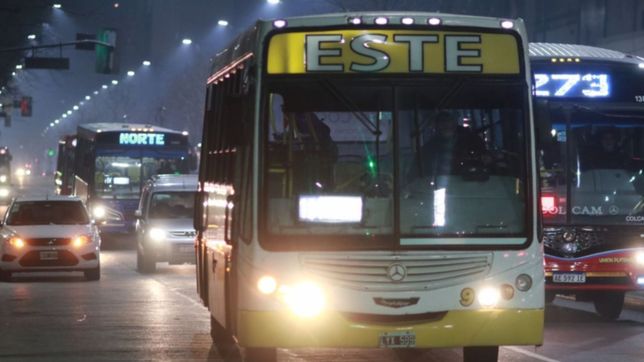 sigue sin haber micros de noche en el amba: ¿que pasa en la plata?