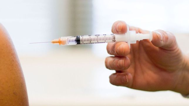 confirmaron el primer caso de gripe a en la plata en un nene de 7 anos