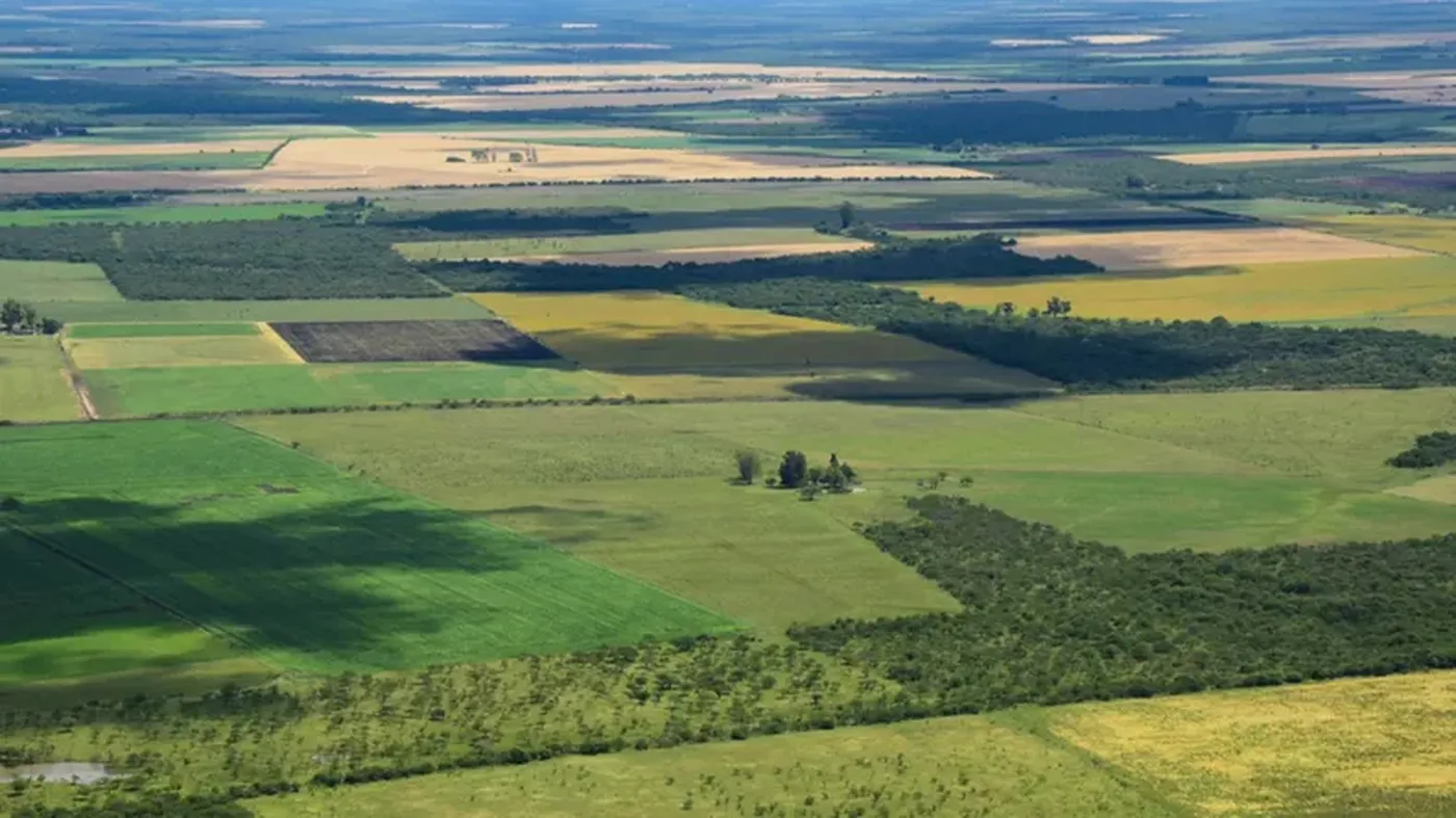 El gobierno buscará derogar la Ley 26.737 que restringe a los extranjeros a hacerse de un  porcentaje de tierras mayor al 15% 