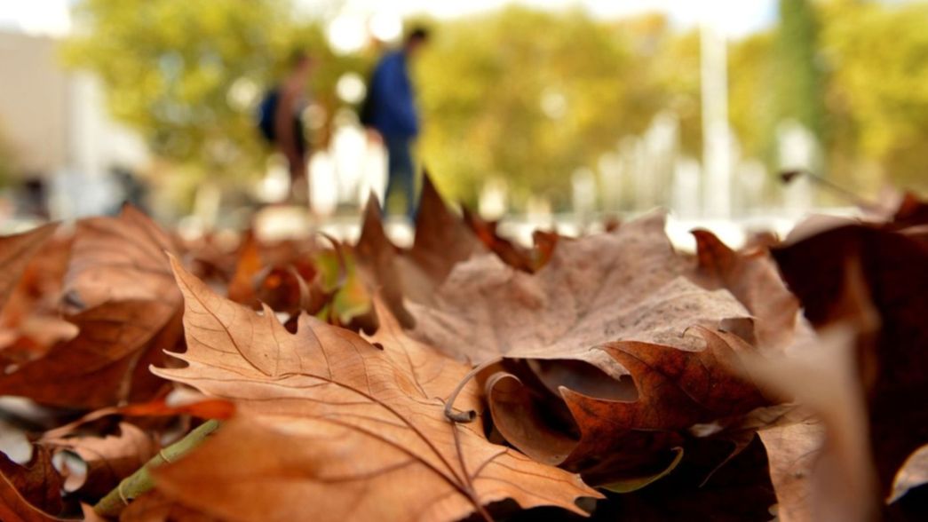 Clima en La  Plata: la semana arranca con un lunes fresco, ventoso y soleado