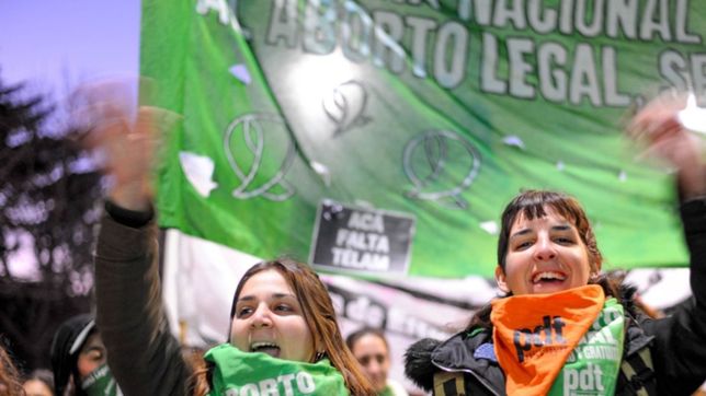 festiverde por la legalizacion del aborto: poesias, feria y bandas en plaza san martin