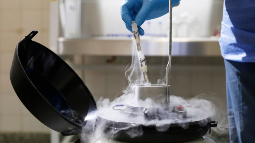 La UNLP recibirá 322 millones de pesos para comprar un costoso microscopio