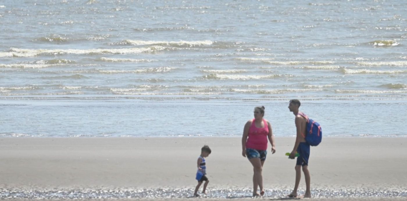 Cianobacterias en el Río de La Plata