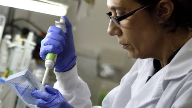 ¿como trabaja el equipo platense que realiza testeos grupales para detectar coronavirus?