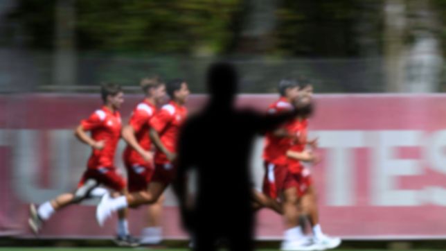 ¿quien sera el nuevo entrenador de estudiantes y cuando debutara?