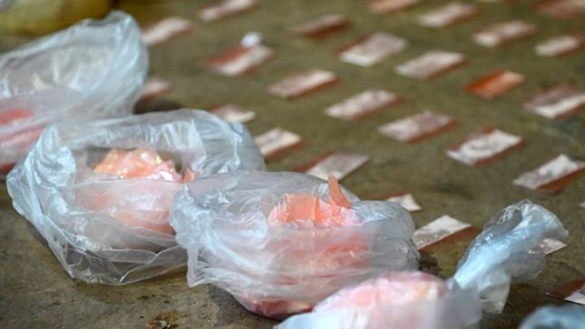 ?es crucial no olvidar la centralidad de la persona adicta?, advierten en la defensoria