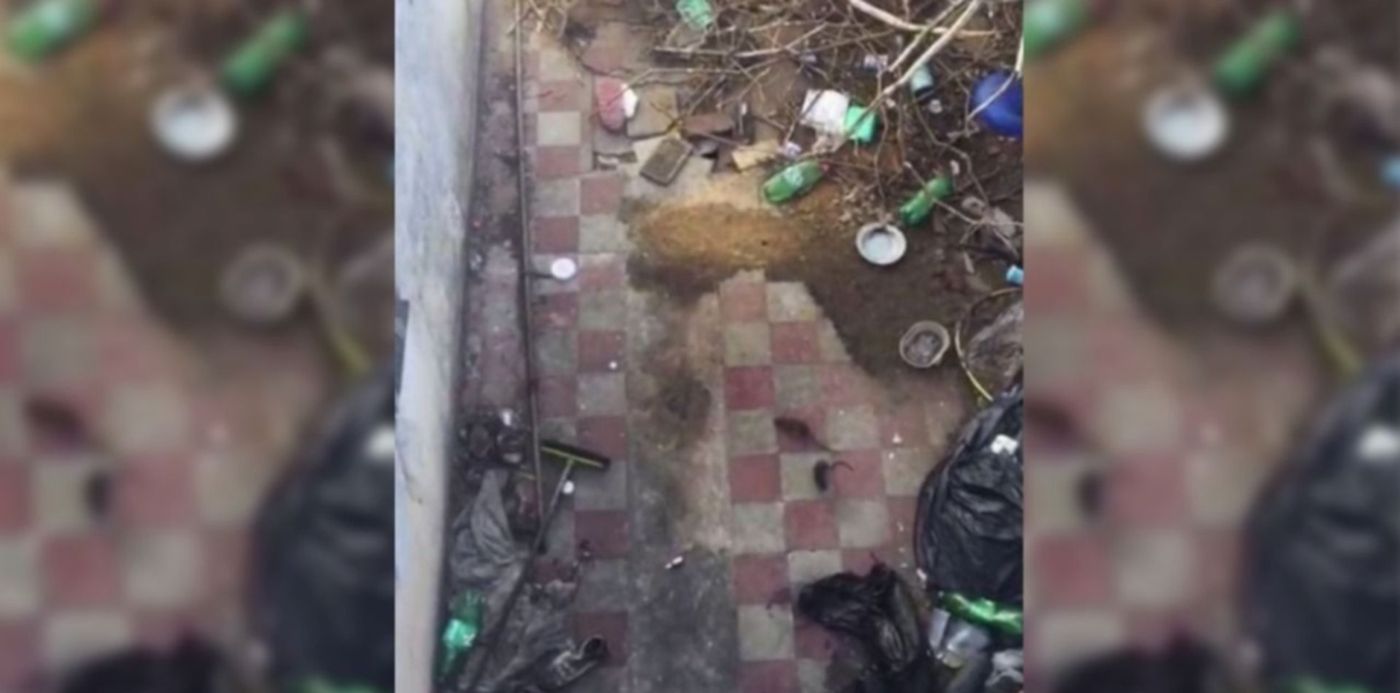 1547477753884.jpeg?&cw=1920&ch=950