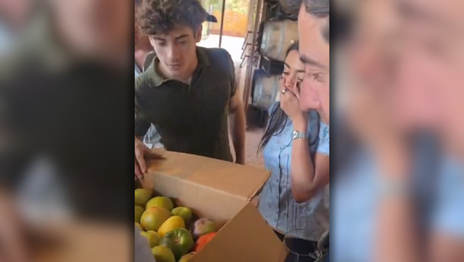 Colapinto recibió tomates platenses antes del Road Show y elogió su calidad: Son impresionantes Colapinto recibió tomates platenses antes del Road Show y elogió su calidad: Son impresionantes