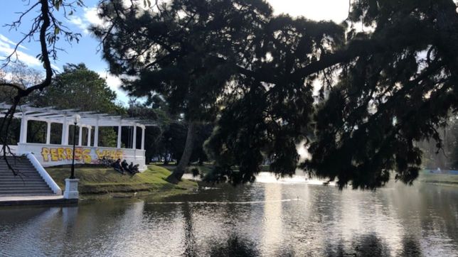 jueves de neblina por la manana y sol primaveral a la tarde en la plata