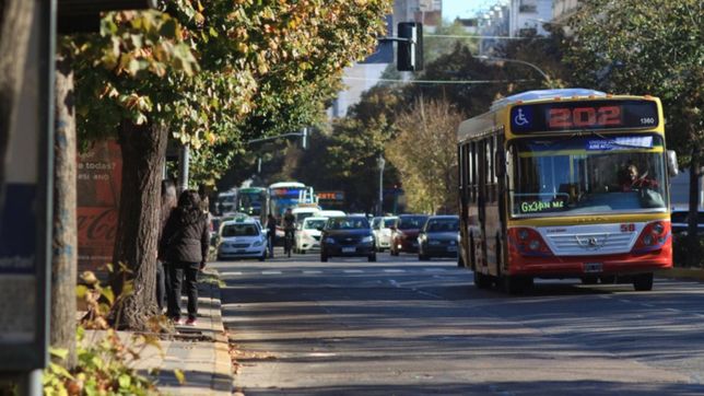se levanto el paro de la linea 202 y ya se normalizo el funcionamiento del servicio