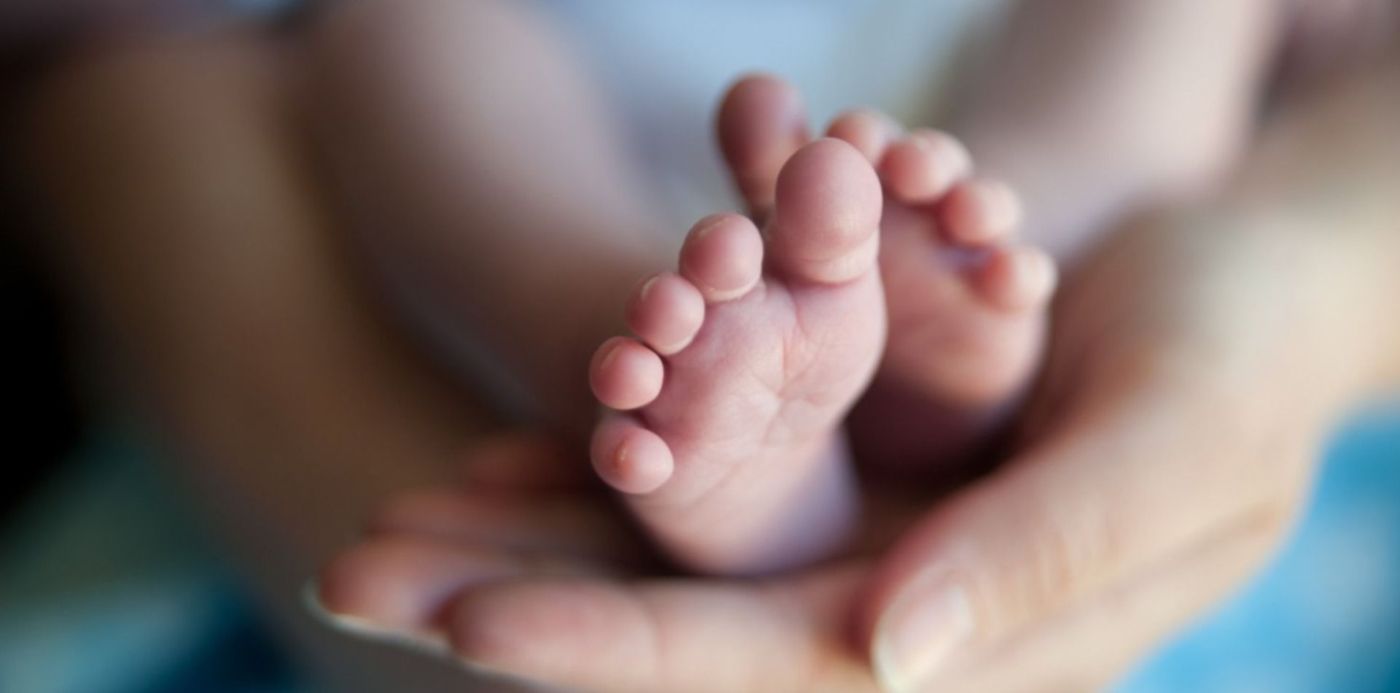 1553802900166.jpg?x=4&y=142&width=1492&height=746&rotate=0&scaleX=1&scaleY=1&ow=1500&oh=997&&cw=1920&ch=950