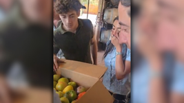 franco colapinto recibio tomates de la plata y elogio su calidad: son impresionantes franco colapinto recibio tomates de la plata y elogio su calidad: son impresionantes