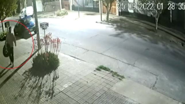 video: un solitario robarueda ataco con total tranquilidad en la plata y quedo filmado