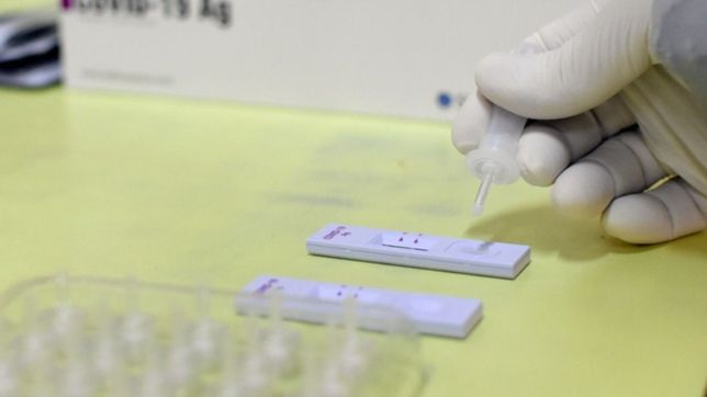 ¿cuando hay que testearse para saber si se contrajo covid-19?