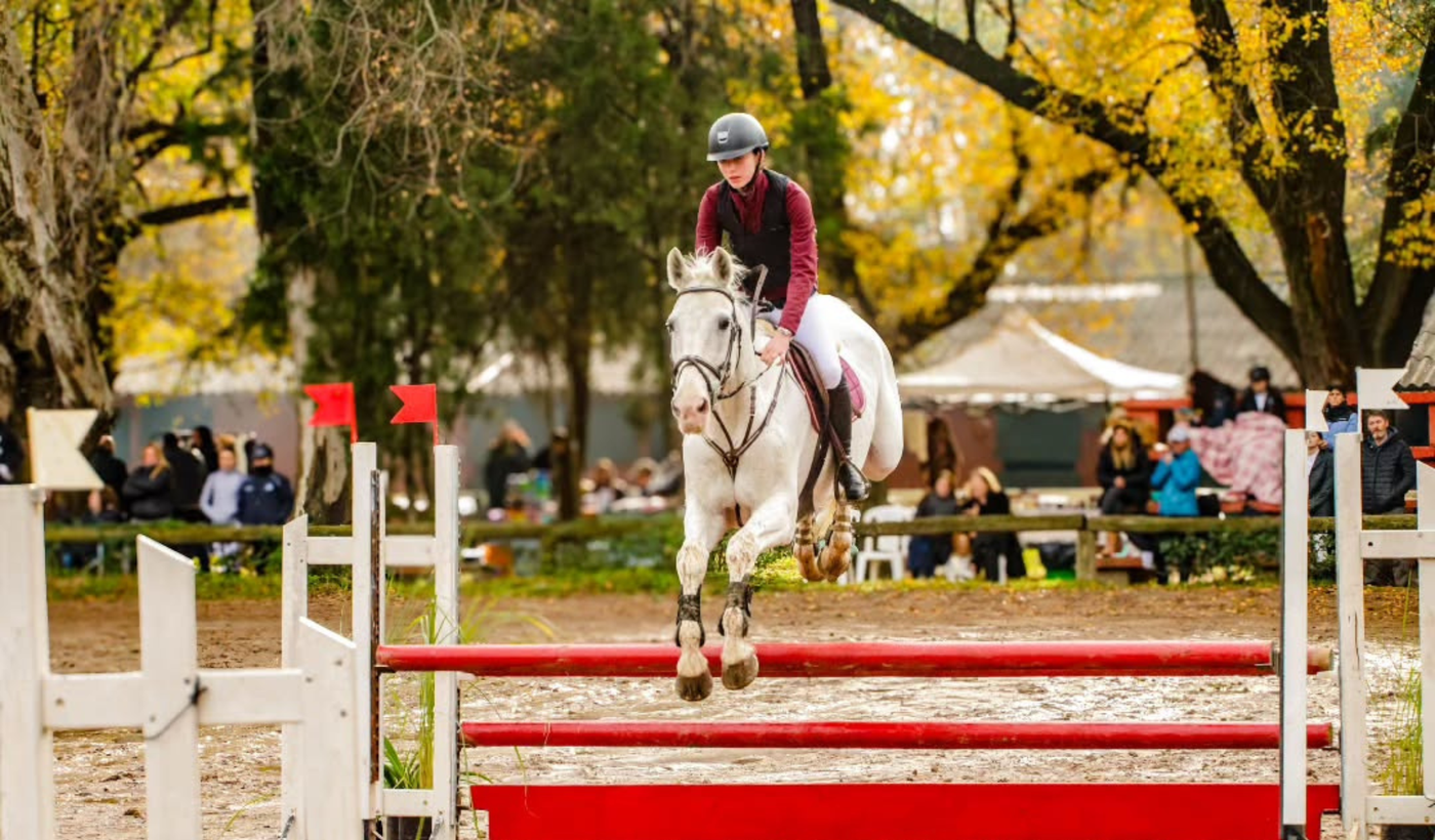 club hipico la plata (2)