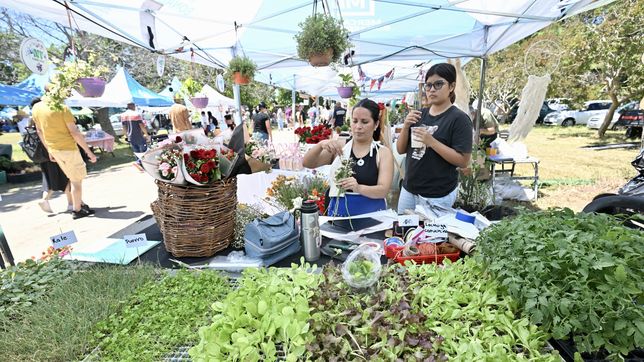 a puro sol, asi se vive la fiesta del tomate platense en gorina