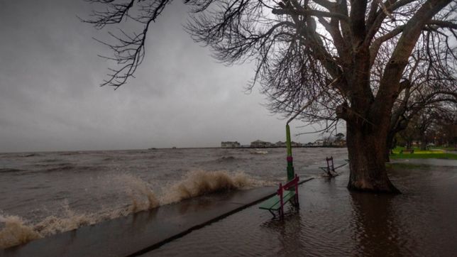 alerta en berisso por la crecida del rio de la plata: podria alcanzar los 3,10 metros