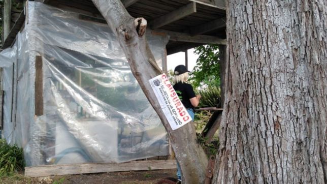 sin habilitacion y con droga fraccionada: frenaron una fiesta clandestina en isla paulino