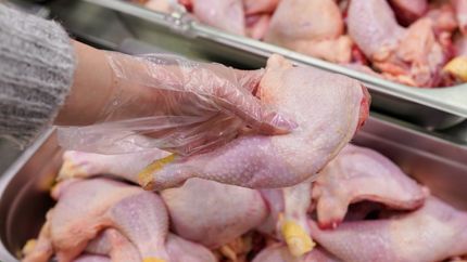 Docentes de la UNLP podrán comprar pollo y cerdo a precios populares