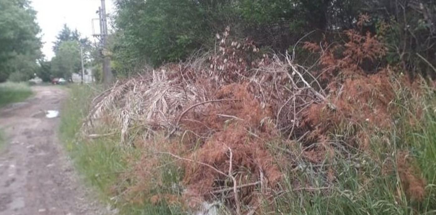 1603405939492.jpg?x=3&y=95&width=767&height=384&rotate=0&scaleX=1&scaleY=1&ow=774&oh=483&&cw=1920&ch=950