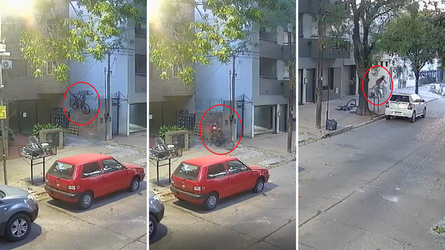 un ladron intento robar dos bicicletas en la plata, pero un vecino pego un grito y lo ahuyento