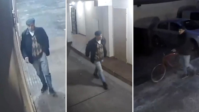 un ladron entro con llave a un edificio y se llevo una bicicleta como si fuera un vecino mas