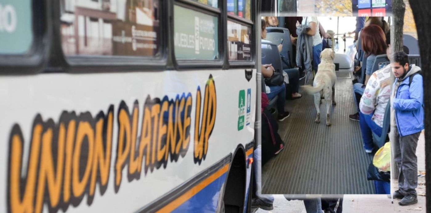 1541504301975.jpg?x=9&height=741&scaleY=1&oh=843&y=55&width=1481&rotate=0&scaleX=1&ow=1500&&cw=1920&ch=950