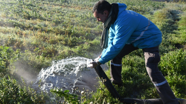 realizan controles en las quintas para asegurar la calidad de los productos del mercado regional
