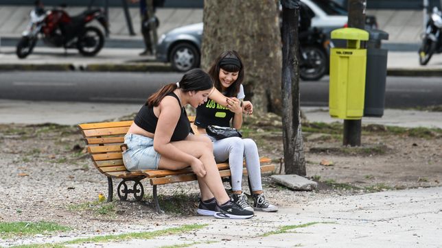 las razones por la que los mosquitos se demoraron y ahora si invadieron la plata