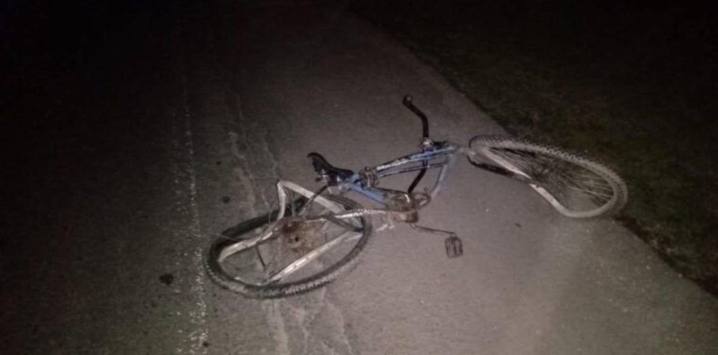 Bici tirada Ruta 36