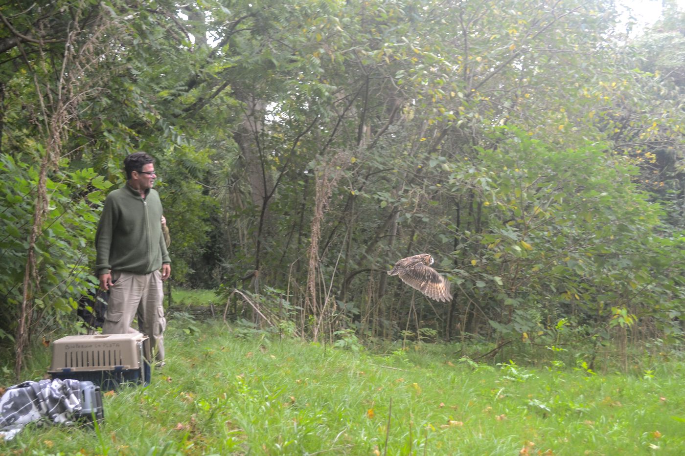 El momento de la liberación de una de las aves del Bioparque de La Plata