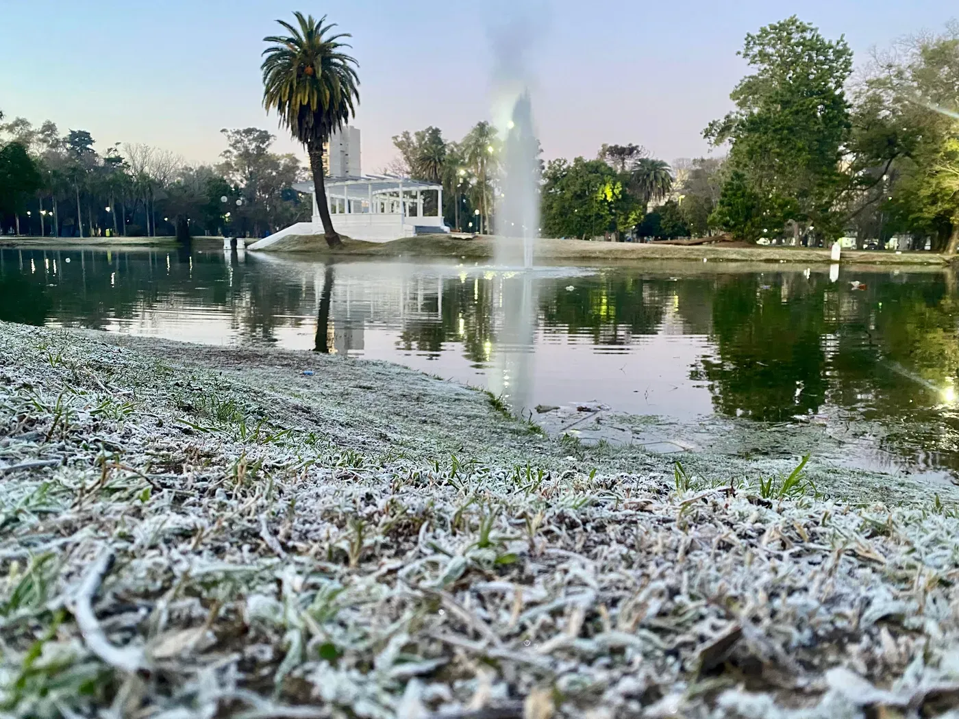 La Plata viene amaneciendo con helada y temperaturas bajo cero desde hace varios días (Foto: AGLP).