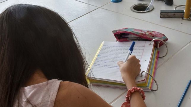 impulsan un plan para que mas de 5.000 chicos de la plata vuelvan a la escuela