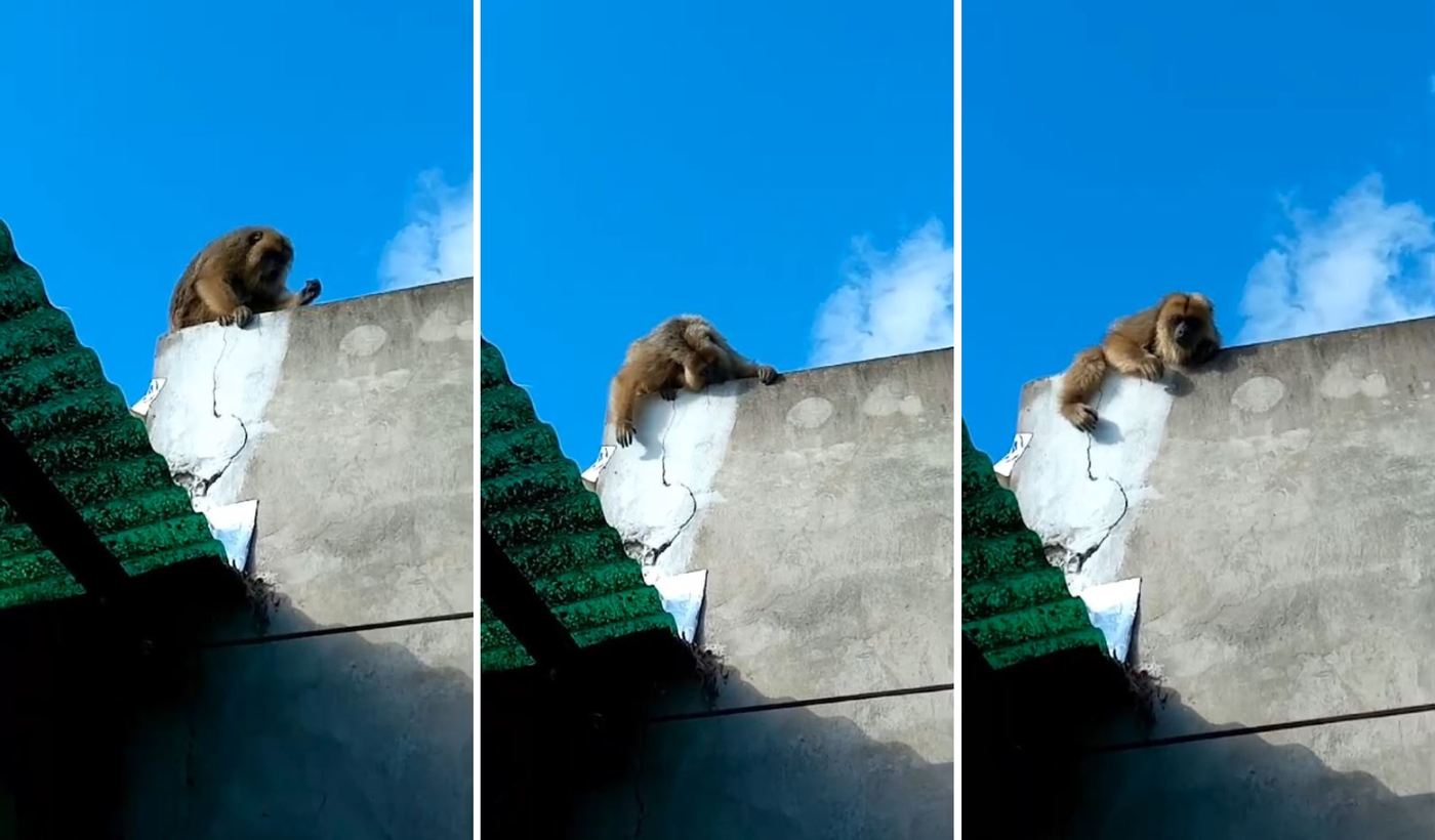 Diseño sin título (2).png