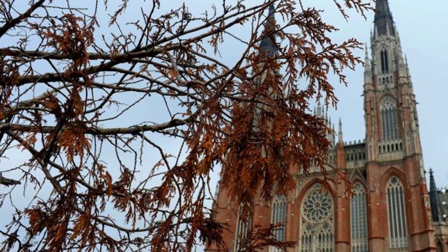 la semana termina en la plata con un viernes fresco y nublado, pero sin amenaza de lluvias