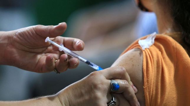 vacunacion antigripal en la plata: ¿donde aplican las dosis, desde cuando y quienes deben inmunizarse?