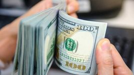 ¿como funcionara el dolar flotante entre $1.000 y $1.400 del que hablo javier milei?